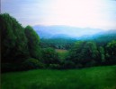 New Landscape