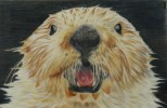 Otter